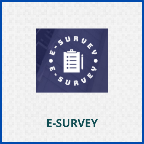 Survei